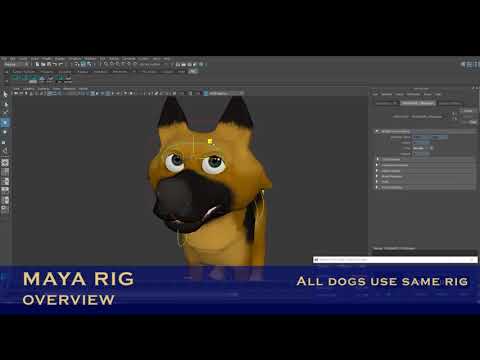 DOG MAYA RIG OVERVIEW
