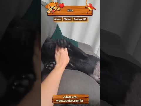 Vídeo de Mila