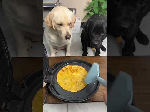 White Dog Teaches Cruel Owner A Lesson! 🐶⚖️ #Shorts #Viral