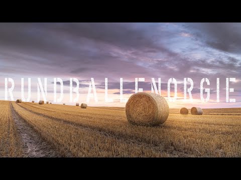 Rundballen zum Sonnenaufgang fotografieren