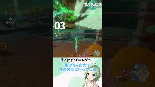 謎は解けたんだけど…【ゼルダの伝説ティアーズオブザキングダム】【女性実況】#shorts