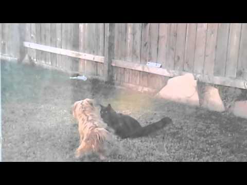 Simi and Darian play outside