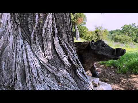 Ruta de las Dehesas (Parque Natural Sierra Norte de Guadarrama - Segovia)