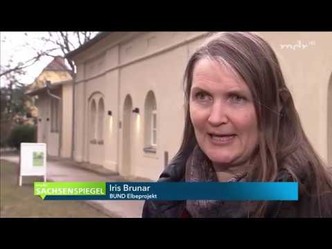 MDR - Was bringt der Hafenausbau in Riesa