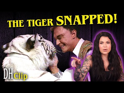 What REALLY Happened During the Tragic Siegfried & Roy Incident? | Dark History: CLIP