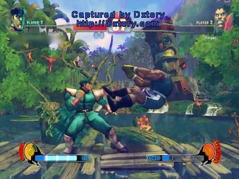 ベガVSバイソン