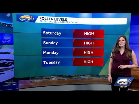 Nh Pollen Count
