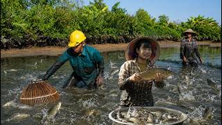 The river suddenly ran dry—we caught plenty of fish and prepared delicious meals for our smal family