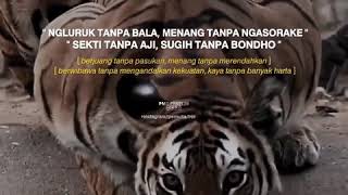 Download lagu (story whatsapp)macan mp3 Download lagu (story whatsapp)macan mp3