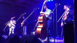 "The Shaker" - The Travelin' McCourys - Big Sky Big Grass 2016