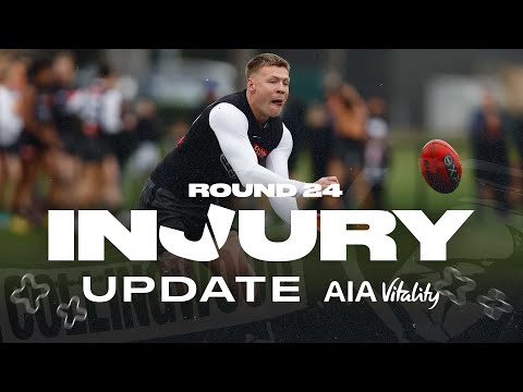 Live-wire forward and star midfielder available for selection | Injury Update