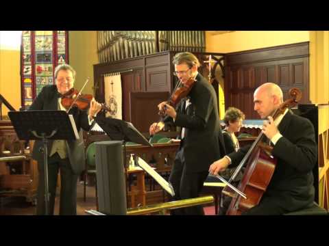 Rasacuti Quartet - Johann Strauss II Thunder and Lightning Polka