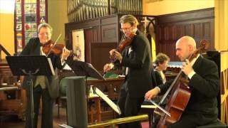 Rasacuti Quartet - Johann Strauss II Thunder and Lightning Polka