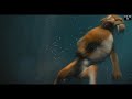 Ice Age The Meltdown All Diego Underwater Scenes