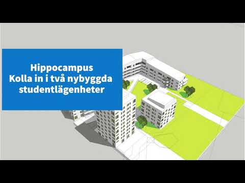 Hippocampus – Kolla in i två nybyggda studentlägenheter