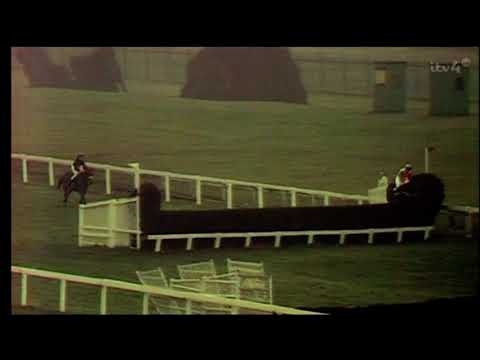 1973 Doncaster Pattern Chase