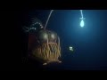 Closing To Finding Nemo Disc 1 2003 DVD