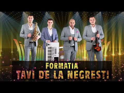 Tavi De La Negresti & Formatia – Vin la tine puisor Video