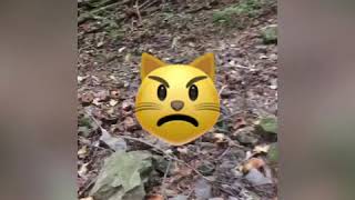 【登山】奥多摩 大岳山 【トレッキング】