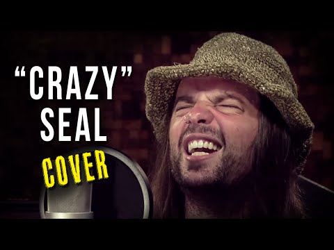 Seal - Crazy (Acoustic Cover)