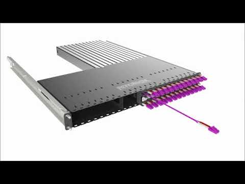 Patchbox Plus- Fibre variant