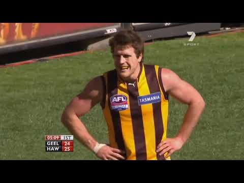 2008 AFL Grand Final - Geelong v Hawthorn - Full Highlights