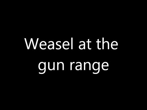 Weasel at the gun range