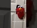 Elmo