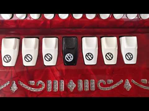 Accordion Borsini Orfeo III Harmonica 96 Bass C - System Akkordeon Perfect +Case for sale (1)