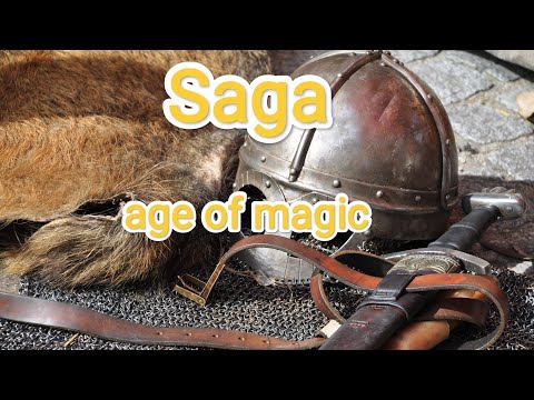 Saga wargame. Age of magic. Saga battle report.
