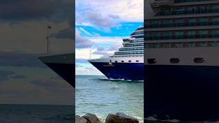 Nieuw Amsterdam 🛳️⚓️ #like #share #comment #subscribe #cruiseship #cruise #vacation #shorts #short