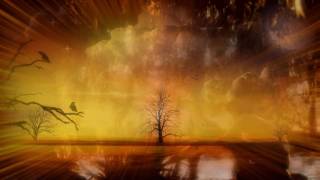 ✿⊱╮Where the wild roses grow...