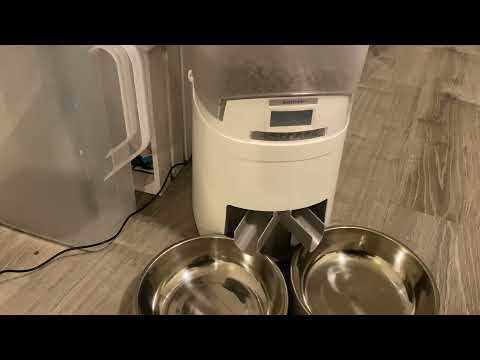 How to Setup Automatic Cat Feeder for 2 Pets