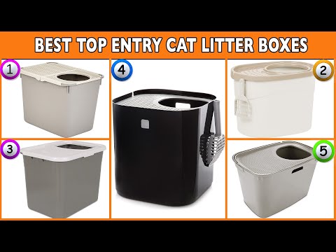 Best Top Entry Cat Litter Box Reviews | Best Rated By Users