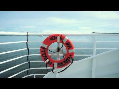 Modern Whale Watching with Puget Sound Express