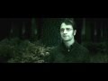 Harry Potter Meets The Deads Kritodaas Mp4