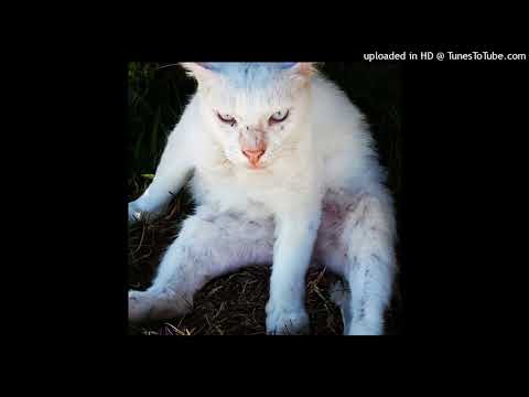 Drowsyd-Maximum Evil (Max Shade Remix)