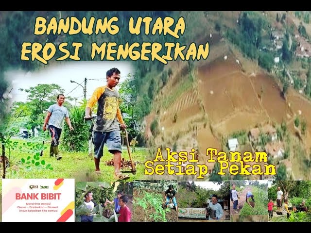 Video Gallery 2 Aksi Tanam di Padang Pasir Kawasan Bandung Utara