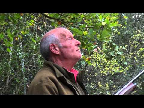 La storia di polverino - Luca Tedesco