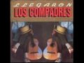 amor silvestre-los compadres