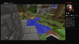 マイクラpvp実況放送