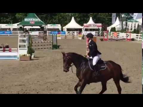SA Stables " Conny " 5y by Conthargos/Stakatto