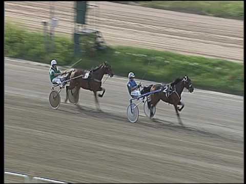 Trotto 29/05/2016 - prova di qualifica