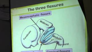 16) Dr.Doaa 4/5/2015 [CNS]