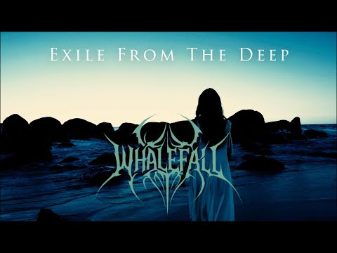 Whalefall video