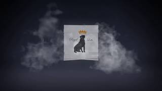 Kollision Cash Talk Quality Control (lyrics)