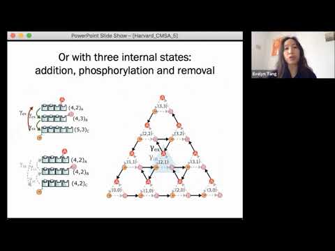 Evelyn Tang | Topology protects chiral edge currents in stochastic systems