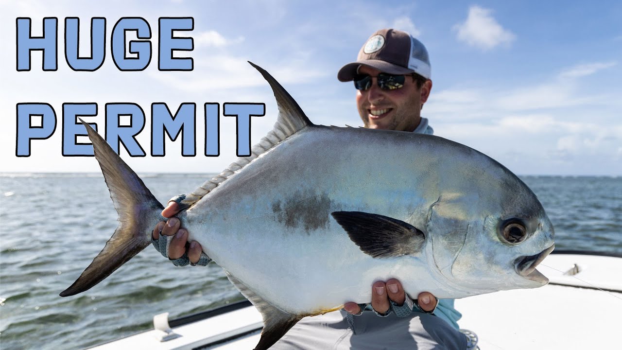 Blue Horizon Lodge - Video