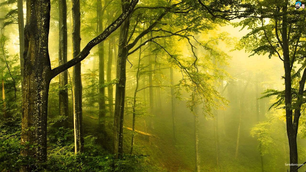 Gaadi Aai Illahabad Se Lyrics  | Ek Khiladi Bawan Pattey | Vinod Khanna, Laxmi Chhaya | Asha Bhosle | Master Sonik, Om Prakash Sonik