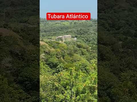 Que lindo paisaje en tubara Atlántico # #mejiaenlavia